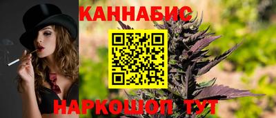 spice Новодвинск