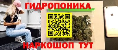 spice Новодвинск