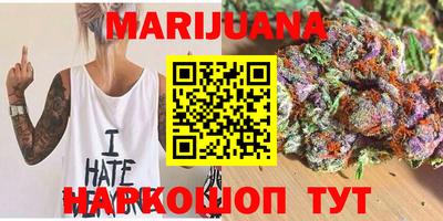 spice Новодвинск