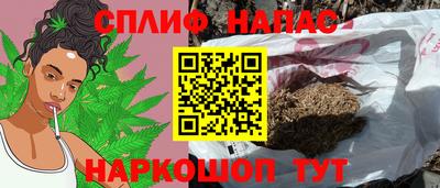 spice Новодвинск