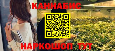 spice Новодвинск