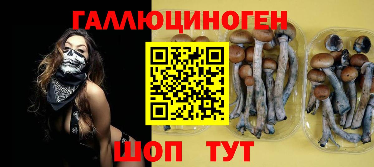 Псилоцибиновые грибы мицелий  Псилоцибиновые грибы Magic Shrooms  где найти   Вход с VPN  Узловая 